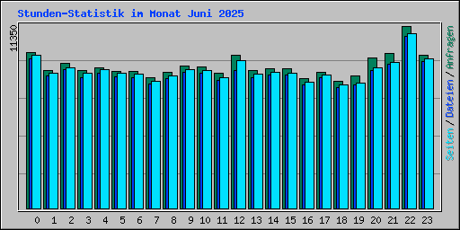 Stunden-Statistik im Monat Juni 2025