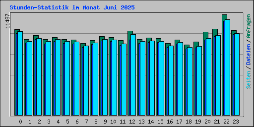 Stunden-Statistik im Monat Juni 2025