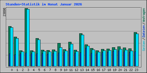 Stunden-Statistik im Monat Januar 2026